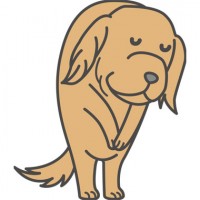 セピどうぶつ病院