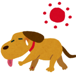natsubate_dog